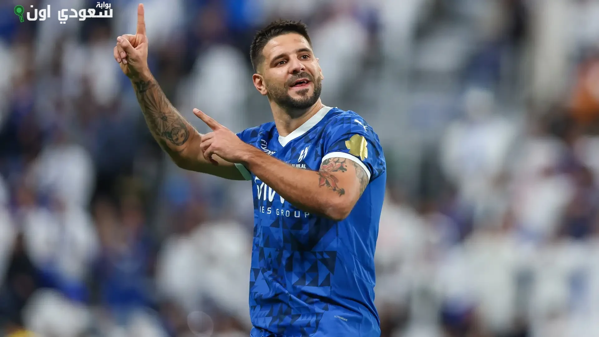 أليكساندر ميتروفيتش