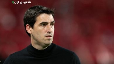 أندوني إيراولا