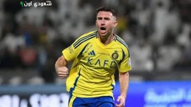 أيمريك لابورت