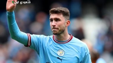 أيمريك لابورت