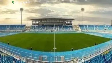 استاد القاهرة