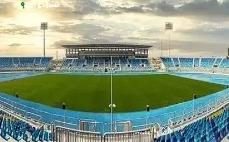 استاد القاهرة