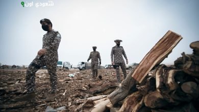 الأمن البيئي يضبط مخالفين لنظام البيئة في محمية الملك سلمان والمدينة المنورة