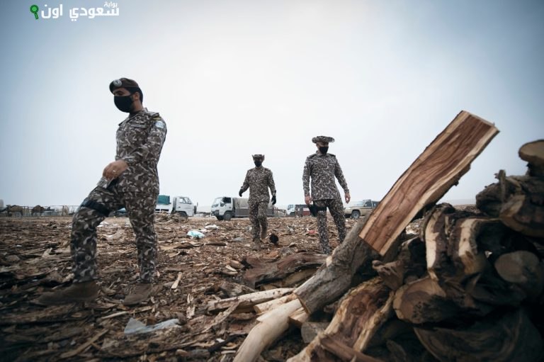 الأمن البيئي يضبط مخالفين لنظام البيئة في محمية الملك سلمان والمدينة المنورة