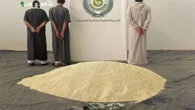 الأمن السعودي والإماراتي يحبطان تهريب 89760 قرص إمفيتامين مخدر