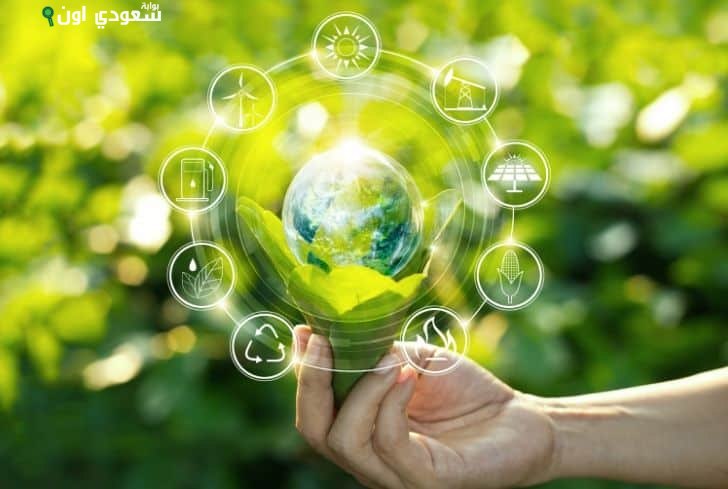 الصورة الرئيسية للمقال: مجموعة إيلاف تطلق مبادرة Go Green لدعم الاستدامة البيئية