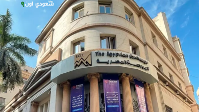 البورصة المصرية