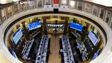 البورصة المصرية