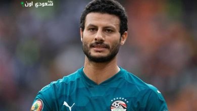 الشناوي