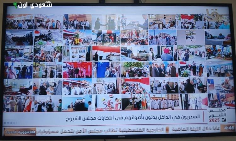 القناة الأولى تبث انتخابات مجلس الشيوخ