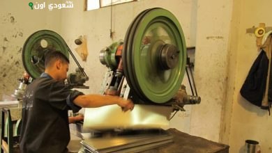 الرقابة المالية: 3.1 ألف مستفيد يستفيدون من تمويل المشروعات المتوسطة بـ6.8 مليار جنيه
