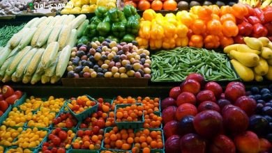 الزراعة توضح أسباب تأخر تنزيل المنتجات الزراعية