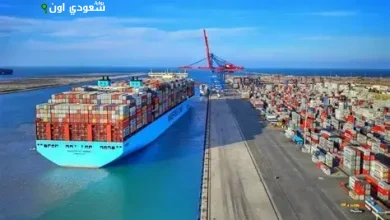 المنطقة الاقتصادية لقناة السويس تحقق طفرة كبيرة في جذب الاستثمارات رغم التحديات