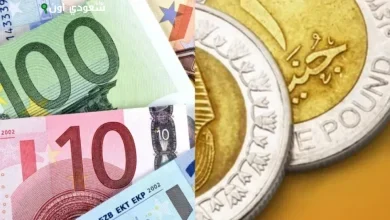 اليورو يستقر أمام الجنيه المصري