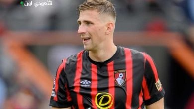 إيليا زابارني