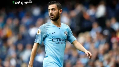 برناردو سيلفا