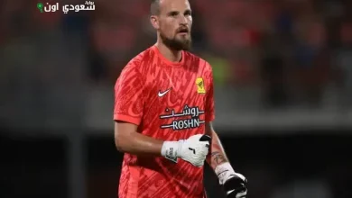 بريدراج رايكوفيتش