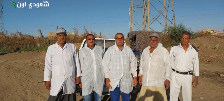 تحصين الماشية في أسواق الأقصر ضد الحمى القلاعية