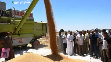 تخطى المستهدف لتوريد القمح بتسليم فى اسوان