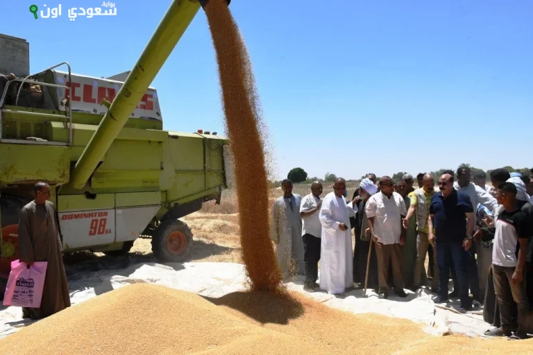 تخطى المستهدف لتوريد القمح بتسليم فى اسوان