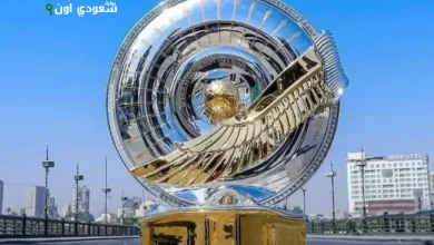 الدوري المصري