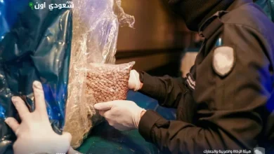 الضريبة والجمارك تضبط 1,300 حالة تهريب خلال أسبوع