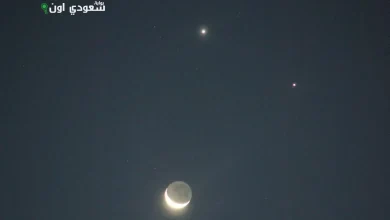 مثلث سماوي يظهر فجر الأربعاء في الأفق الشرقي