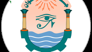 جامعة أسوان