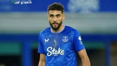 دومنيك كالفيرت لوين