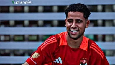 رضا سليم