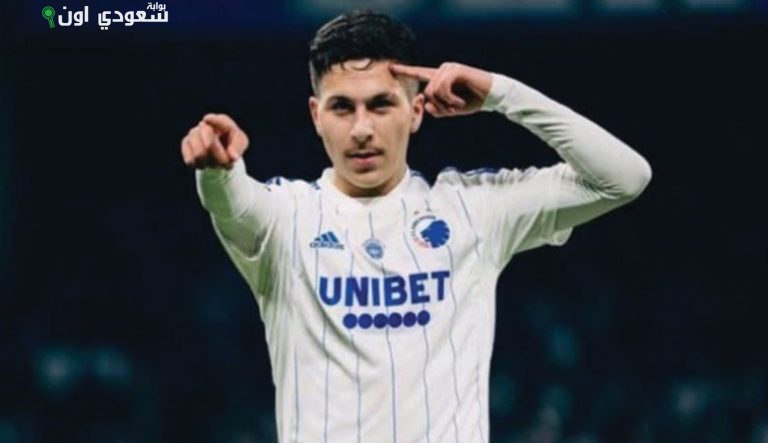 روني باردغجي