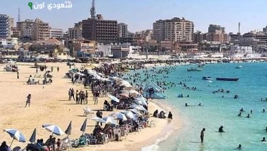 حالة الطقس في مطروح