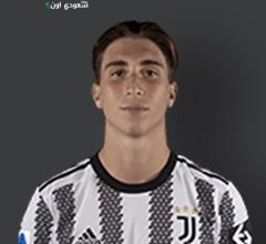 فابيو ميريتي
