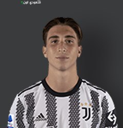 فابيو ميريتي