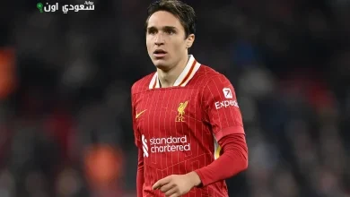 فيديريكو كييزا