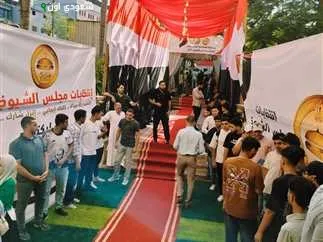 لجان انتخابات مجلس الشيوخ في المنوفية