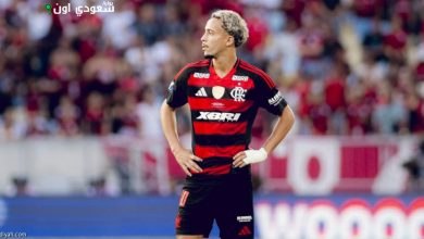 ماتيوس جونزالفيس