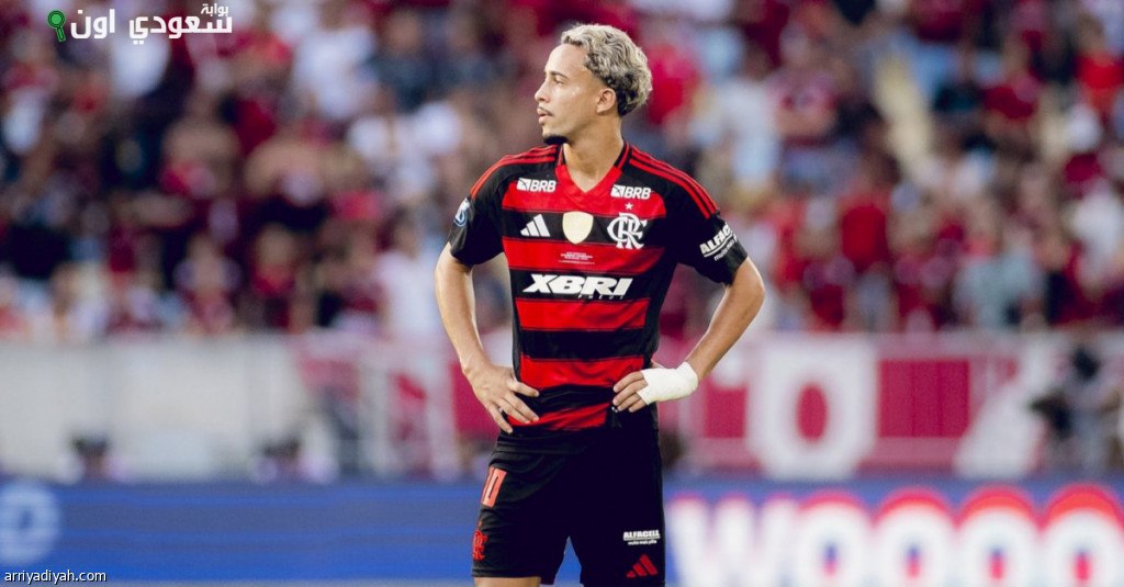 ماتيوس جونزالفيس