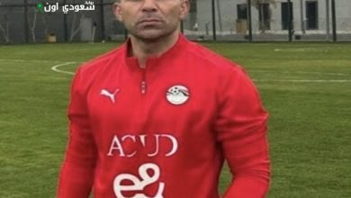محمد أبو النجا