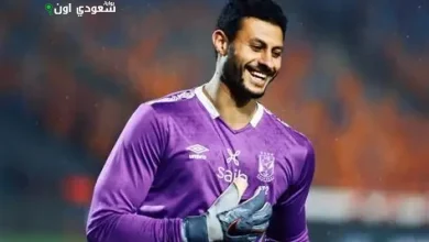محمد الشناوي