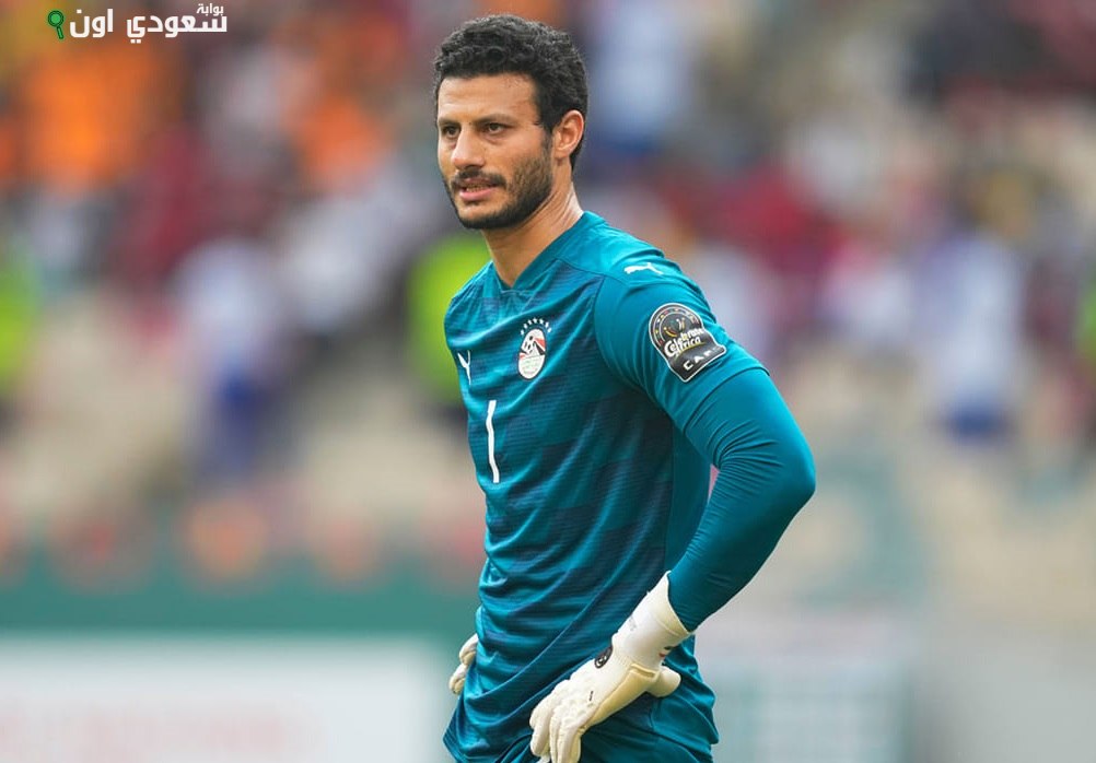 محمد الشناوي