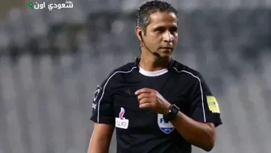 الحكم المصري محمود عاشور