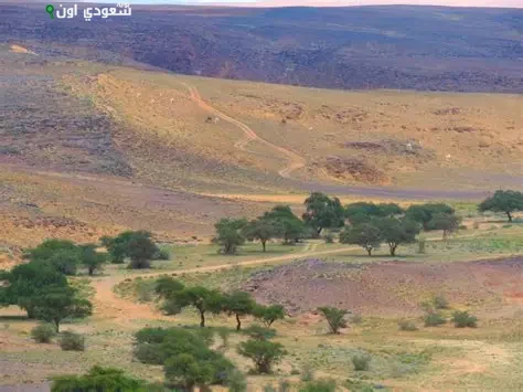 محمية الملك سلمان