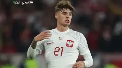 نيكولا زاليفسكي
