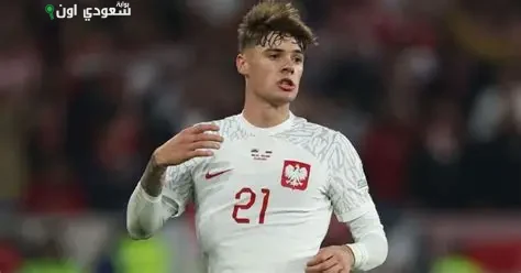 نيكولا زاليفسكي