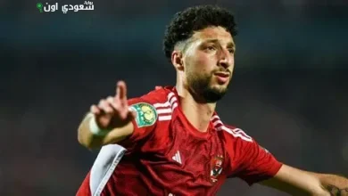 وسام أبو علي