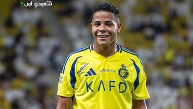 ويسلي جوسوفا