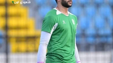 يوسف نادر