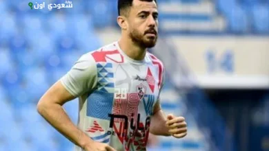 محمود حمدي الونش