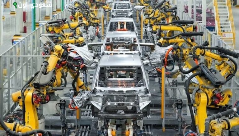 توطين صناعة كماليات السيارات في مصر يعزز الاقتصاد